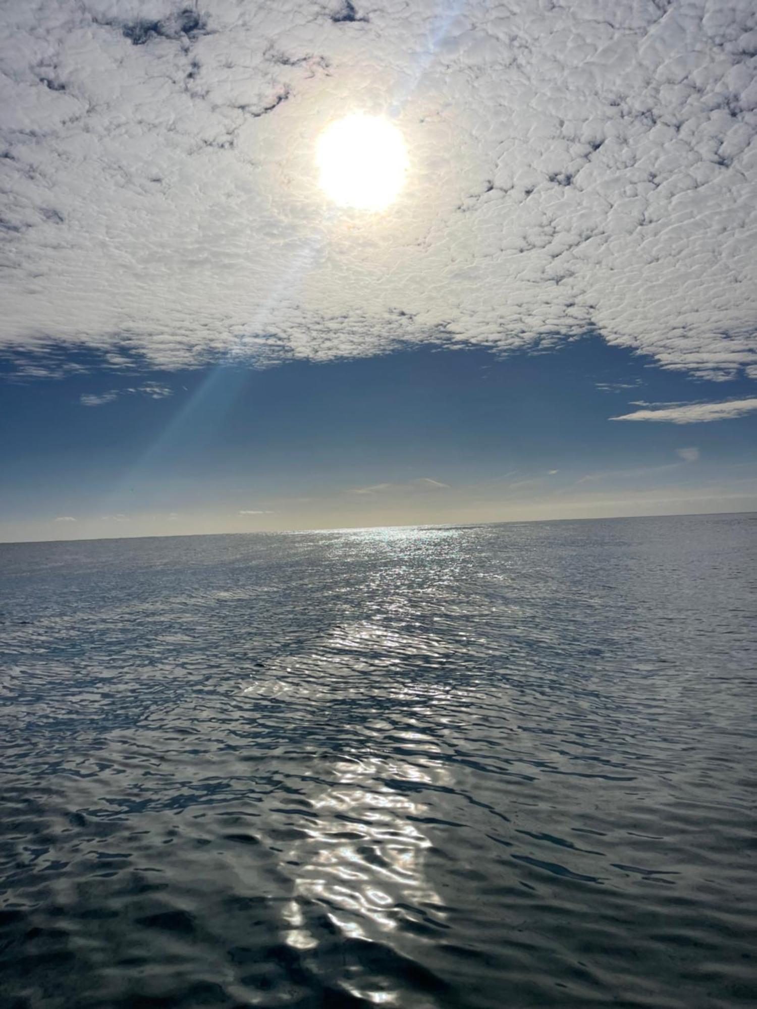 Fly & Sea View
